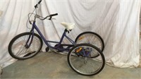 Purple 3 Wheel Bike N