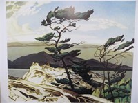 WHITE PINE-PRINT BY AJ CASSON