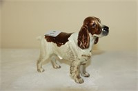 Vintage Beswick model of liver and white spaniel.