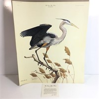 Unframed "The Great Blue Heron"