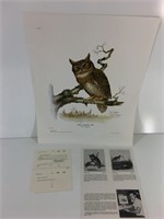 Limited Edition "Great Horned Owl" Bubo Virginia