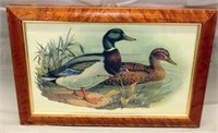 antique style Mallard Duck print in Birds Eye