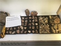 COLLECTION OF PETRIFIED WOOD AND ROCKS