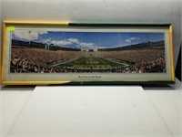 Packers Panoramic Picture