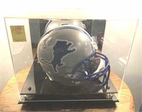 DETROIT LIONS (MAYBE BARRY SANDERS)