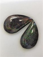 Genuine Canadian Ammolite Gemstones JC