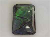 Genuine Canadian Ammolite Gemstone JC