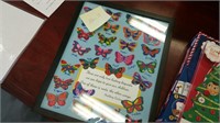 St. Peter School 3rd Grade Class Butterfly Picture