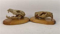 Lot of 2 skulls- Beaver and Fox