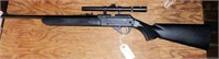 Daisey Powerline 35 pump air rifle with
