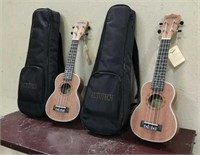 2 Actutech Hawaiian Acoustic Guitar (Brand New)