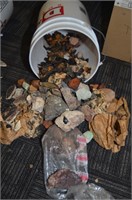 ASSORTED BUCKET OF ROCKS, FOSSILS AND MISC.