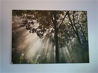 Large and Beautiful Canvas Print