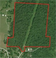 Live Auction: 55± ac with trails