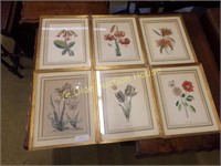 6 Vintage Framed Foliage Prints