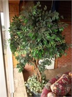 Large Artificial Ficus Tree in Large Ceramic