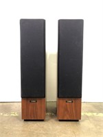 Pair of large speakers