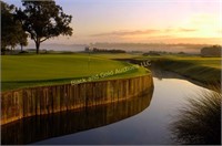 Villas of Grand Cypress Foursome of Golf