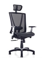 Ergomax Meshed Ergo Office Chair with Headrest,