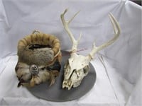 Deer skull & leather wrapped basket