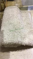 9x12 foot off white shag carpet,  2 inch shag