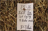 Hay-Lg. Squares-1st-9 Bales