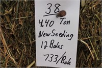 Hay-New Seeding-Lg. Squares-12 Bales