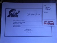 $100 Gift Certificate for professional services ,