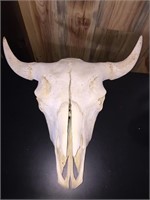 Buffalo European Skull Mount Finely Done