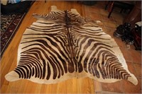 Striped Animal Print Hide with Backing