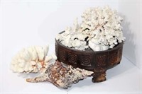 Carved Wooden Bowl with Coral and Shells