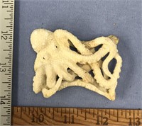 3" Carved octopus from antler, very detailed, impo