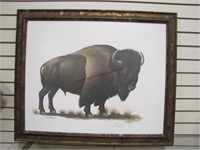 Signed Numbered print "American Bison" by