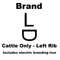 "L lazy D" Brand & Electric Branding Iron
