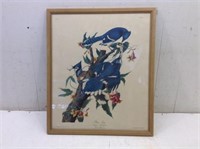 Vtg/Atq Audubon Framed Print   Blue Jay