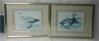 Two Framed Duck Prints 22"x19"