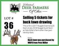 1 of 5 tickets for a Marsh Nugget buck fawn
