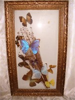 Vtg Butterfly Shadow Box Wall Art