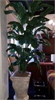Heliconia Plant w/ Planter 10 ft.