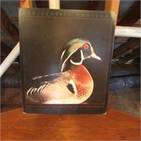 Wood Duck Picture