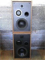 American Acoustics D4550E speakers.