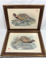 Pair of Vintage Framed Pheasant Artwork Prints