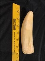 Plain Whale's Tooth