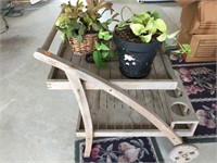 Lot of plants and plant cart