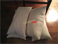 4 Throw Pillows