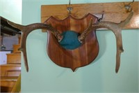 8 Point Rack on Wood Plaque