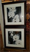 Pair of framed flowers prints