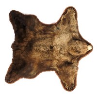 Montana Cinnamon Black Bear Taxidermy Trophy Rug