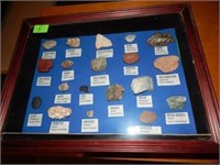 Rock Collection In Display Case