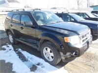 2010 Ford Escape